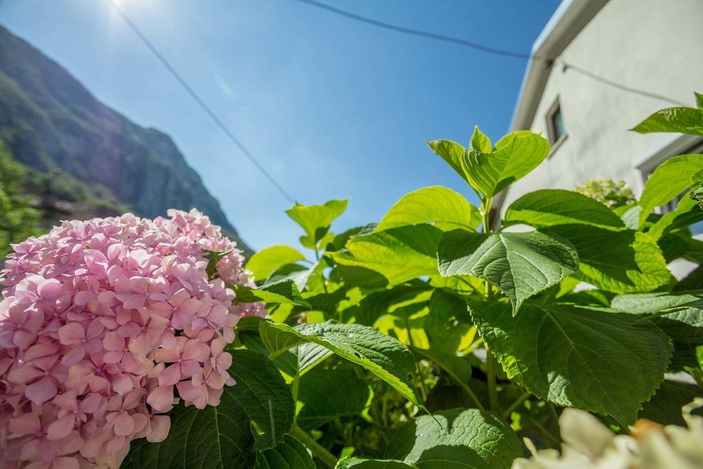 Farm Stay Ferjancic Vipava Eksteriør billede